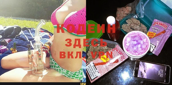 индика Балабаново