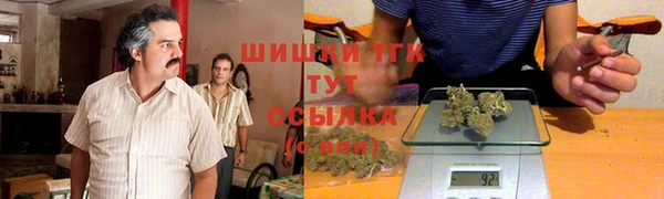 индика Балабаново