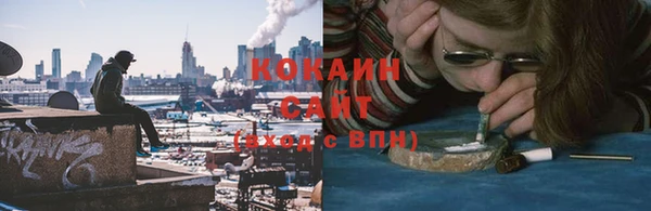 сатива Баксан