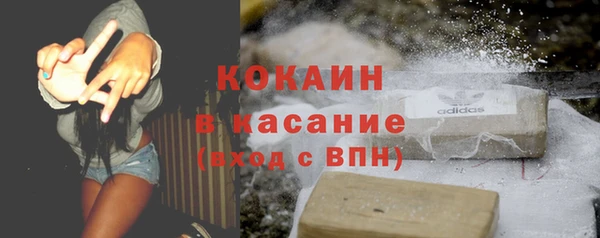 индика Балабаново
