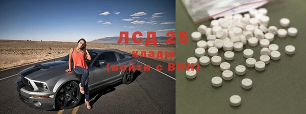 индика Балабаново