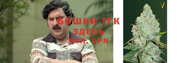 индика Балабаново