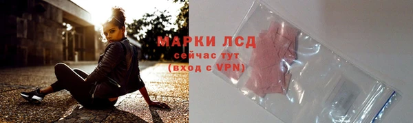 индика Балабаново