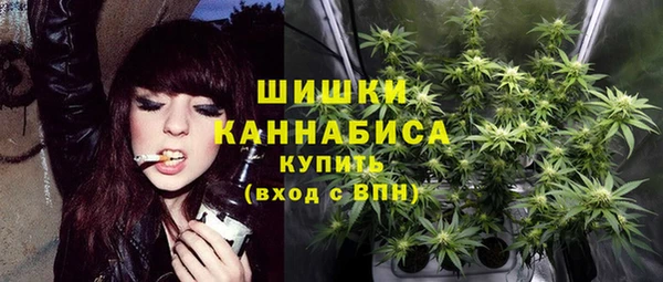 индика Балабаново