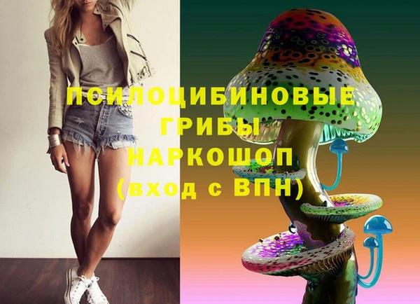 сатива Баксан