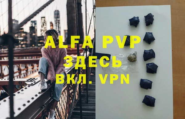 индика Балабаново