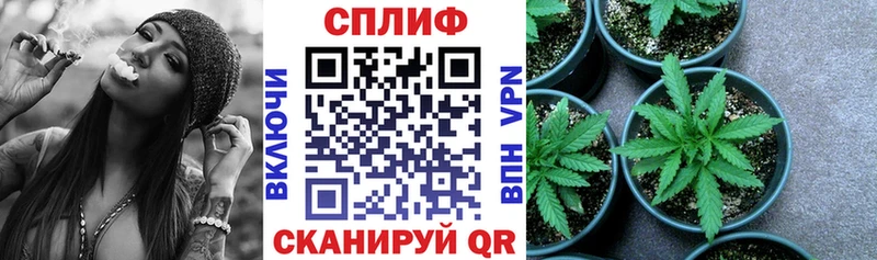 ОМГ ОМГ зеркало  наркошоп  Заозёрск  Бошки Шишки AK-47 